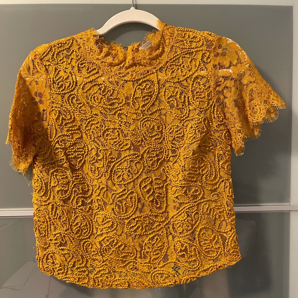 Zara mustard lace embroidered zip back blouse!